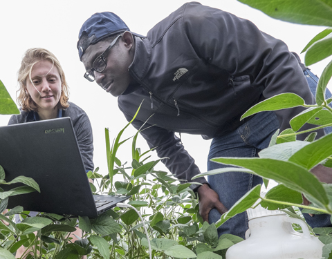 Researchers out in a field