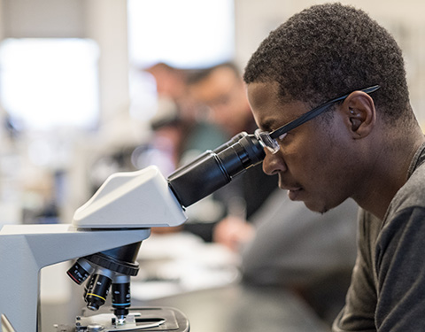 man looking into microscope